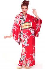 Red Kimono Dress